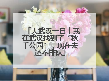 大武汉一日︱我在武汉找到了“秋千公园”，现在去还不排队