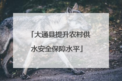 大通县提升农村供水安全保障水平