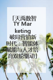 天禹数智 TY Marketing 破局营销新时代：智能体赋能与人才培育双轮驱动