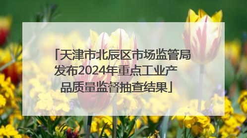 天津市北辰区市场监管局发布2024年重点工业产品质量监督抽查结果