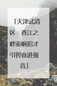 天津武清区：香江之畔奏响招才引智奋进强音