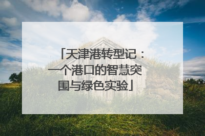 天津港转型记：一个港口的智慧突围与绿色实验