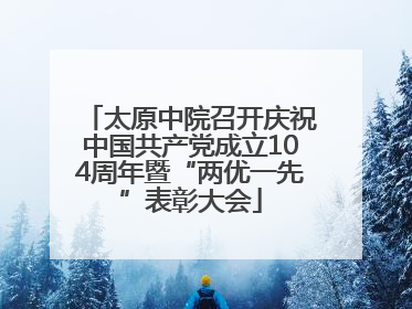 太原中院召开庆祝中国共产党成立104周年暨“两优一先”表彰大会