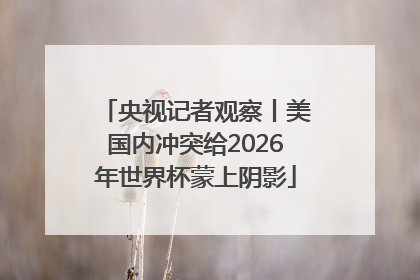 央视记者观察丨美国内冲突给2026年世界杯蒙上阴影