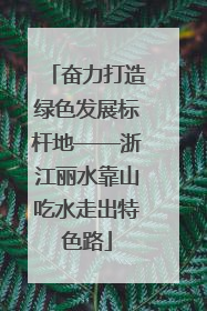 奋力打造绿色发展标杆地——浙江丽水靠山吃水走出特色路