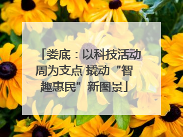 娄底：以科技活动周为支点 撬动“智趣惠民”新图景