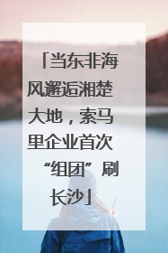当东非海风邂逅湘楚大地，索马里企业首次“组团”刷长沙