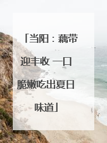 当阳：藕带迎丰收 一口脆嫩吃出夏日味道