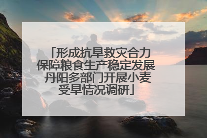 形成抗旱救灾合力 保障粮食生产稳定发展 丹阳多部门开展小麦受旱情况调研