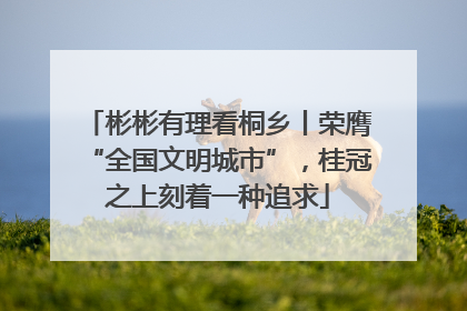 彬彬有理看桐乡丨荣膺“全国文明城市”，桂冠之上刻着一种追求