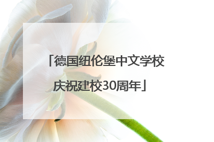 德国纽伦堡中文学校庆祝建校30周年