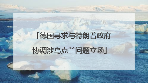 德国寻求与特朗普政府协调涉乌克兰问题立场