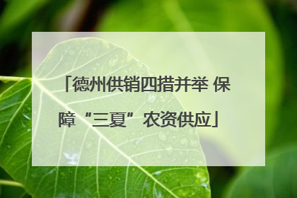 德州供销四措并举 保障“三夏”农资供应