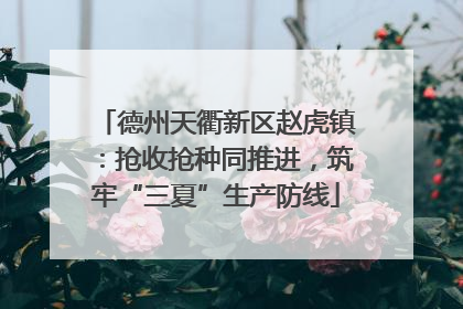 德州天衢新区赵虎镇：抢收抢种同推进，筑牢“三夏”生产防线