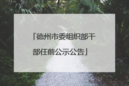 德州市委组织部干部任前公示公告