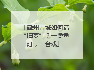 徽州古城如何造“旧梦”？一盏鱼灯，一台戏