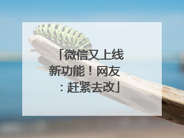 微信又上线新功能！网友：赶紧去改
