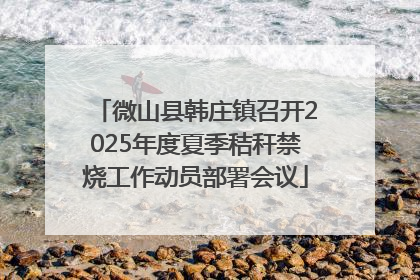 微山县韩庄镇召开2025年度夏季秸秆禁烧工作动员部署会议