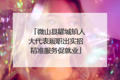 微山县驩城镇人大代表履职出实招精准服务促就业