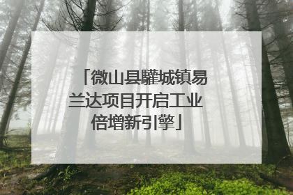 微山县驩城镇易兰达项目开启工业倍增新引擎
