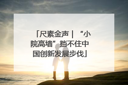 尺素金声｜“小院高墙”挡不住中国创新发展步伐