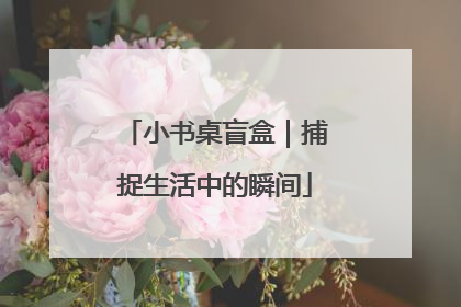 小书桌盲盒｜捕捉生活中的瞬间