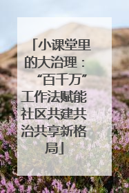 小课堂里的大治理：“百千万”工作法赋能社区共建共治共享新格局
