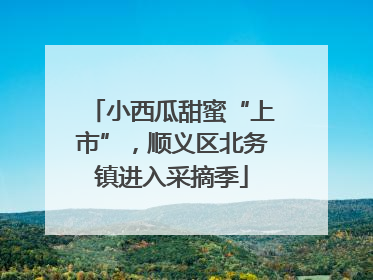 小西瓜甜蜜“上市”，顺义区北务镇进入采摘季