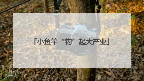 小鱼竿“钓”起大产业