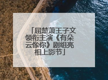 屈楚萧王子文领衔主演《有朵云像你》剧组亮相上影节