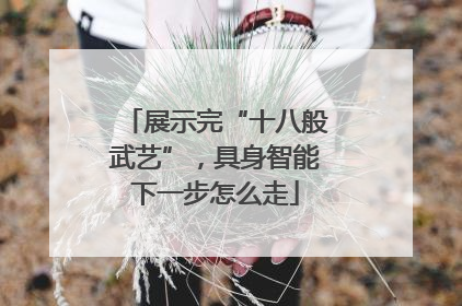 展示完“十八般武艺”，具身智能下一步怎么走