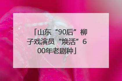 山东“90后”柳子戏演员“焕活”600年老剧种