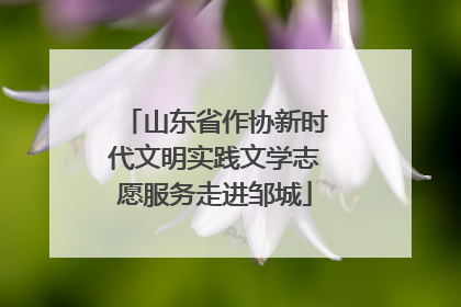 山东省作协新时代文明实践文学志愿服务走进邹城