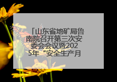 山东省地矿局鲁南院召开第三次安委会会议暨2025年“安全生产月”活动启动仪式