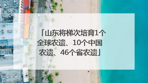 山东将梯次培育1个全球农遗、10个中国农遗、46个省农遗