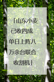山东小麦已收四成 单日上阵八万余台联合收割机