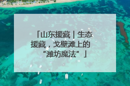 山东援藏｜生态援藏，戈壁滩上的“潍坊魔法”