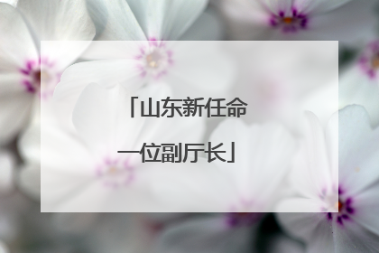 山东新任命一位副厅长