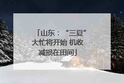 山东：“三夏”大忙将开始 机收减损在田间