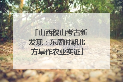 山西稷山考古新发现：东周时期北方旱作农业实证