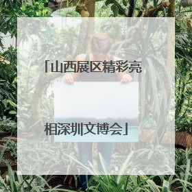 山西展区精彩亮相深圳文博会