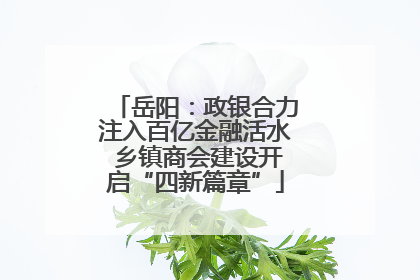 岳阳：政银合力注入百亿金融活水 乡镇商会建设开启“四新篇章”