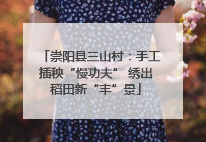 崇阳县三山村：手工插秧“慢功夫” 绣出稻田新“丰”景
