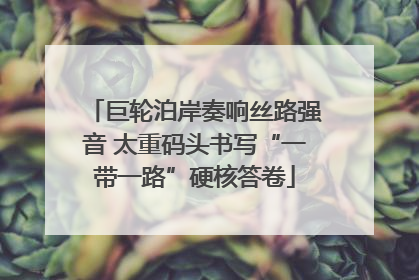 巨轮泊岸奏响丝路强音 太重码头书写“一带一路”硬核答卷