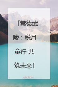 常德武陵：税月童行 共筑未来