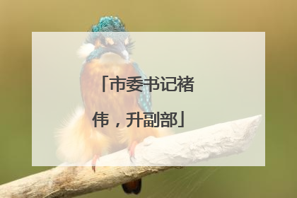 市委书记褚伟，升副部