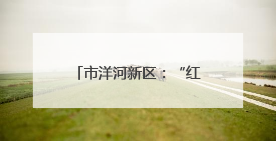 市洋河新区：“红蓝”交融 共绘乡村振兴幸福画卷