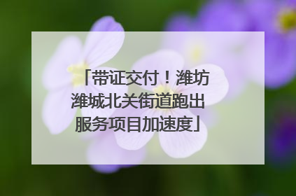 带证交付！潍坊潍城北关街道跑出服务项目加速度