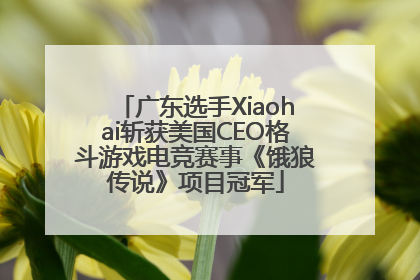 广东选手Xiaohai斩获美国CEO格斗游戏电竞赛事《饿狼传说》项目冠军
