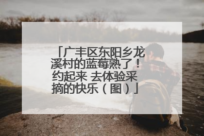 广丰区东阳乡龙溪村的蓝莓熟了！约起来 去体验采摘的快乐（图）
